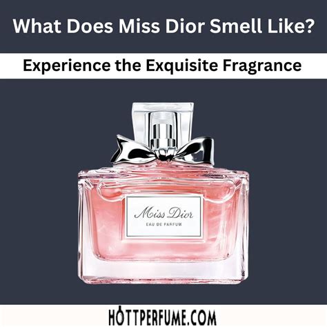 miss dior movie|what does miss dior perfume smell like.